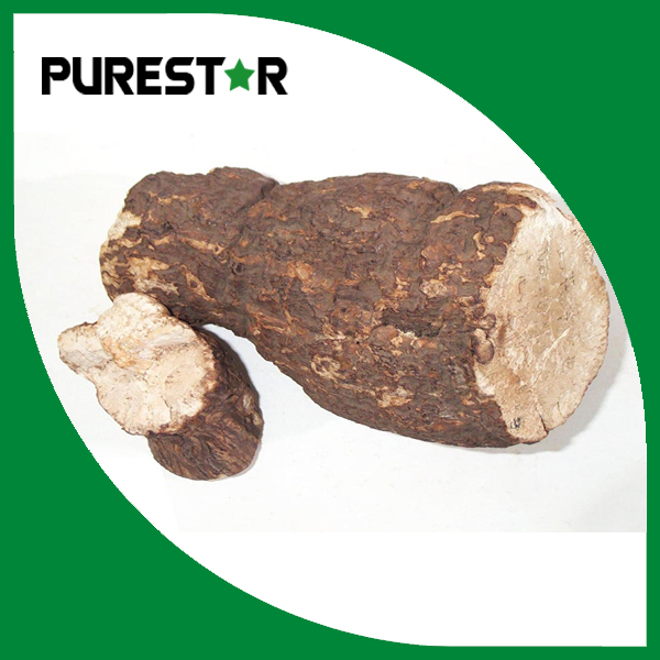 Poria cocos extract 50% Beta Glucan