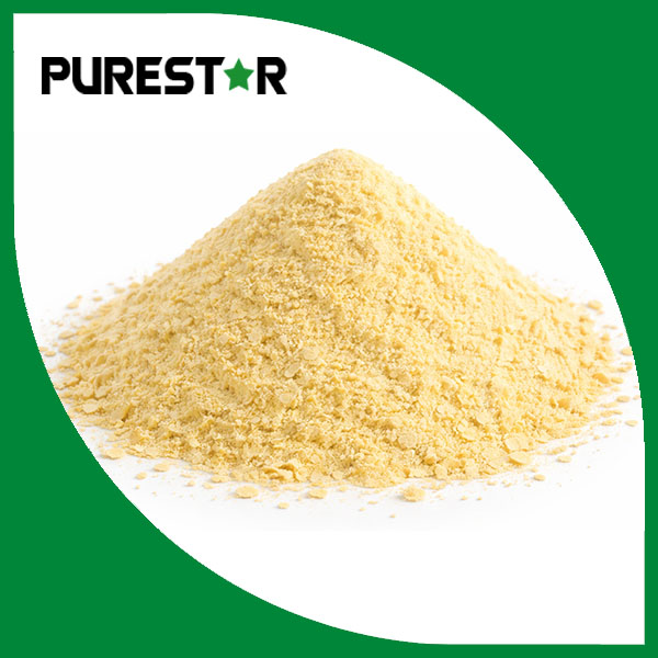 Nutritional Yeast (Inactive Yeast)