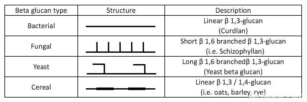 structure of beta glucans