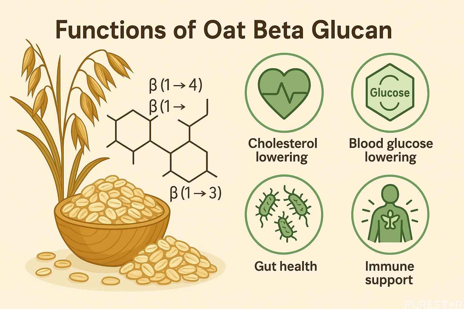 Oat beta glucan powder bulk supplier